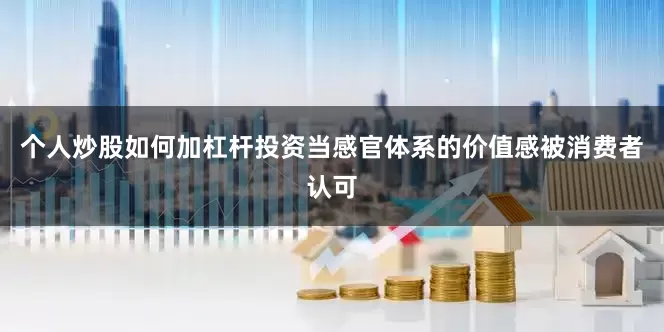个人炒股如何加杠杆投资当感官体系的价值感被消费者认可