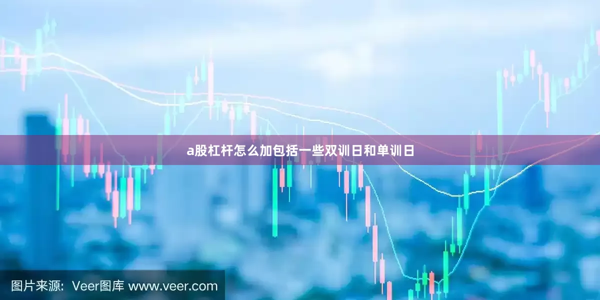 a股杠杆怎么加包括一些双训日和单训日