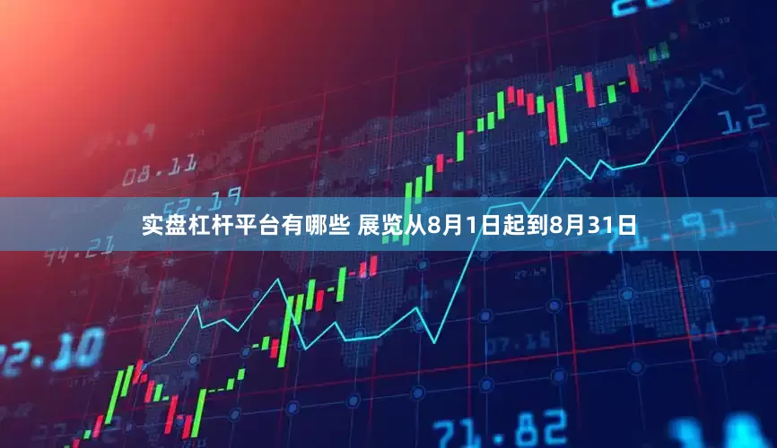 实盘杠杆平台有哪些 展览从8月1日起到8月31日